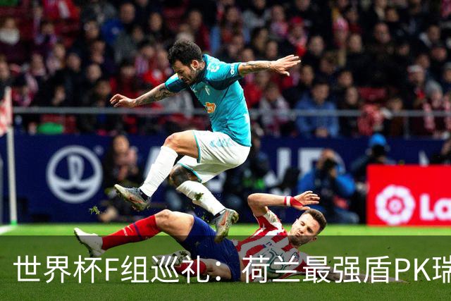 世界杯F组巡礼：荷兰最强盾PK瑞典犀利刀 日本短板明显